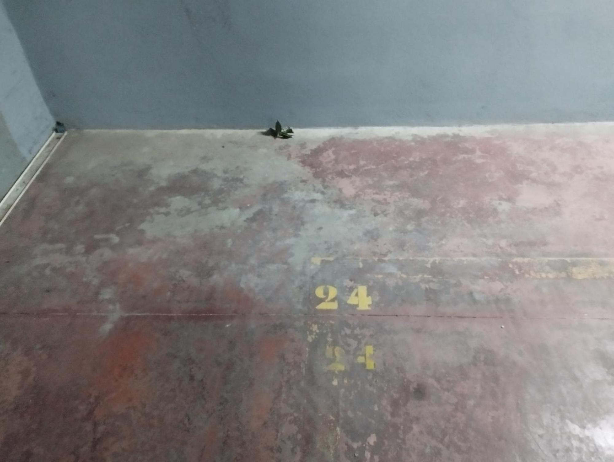 Cd-Estudio, Estudio A Estrenar Acogedor Y Funcional, Centrico, Barrio Tranquilo Málaga Exteriör bild